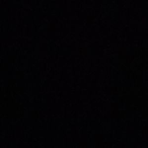 Meet your Posher, Bobby